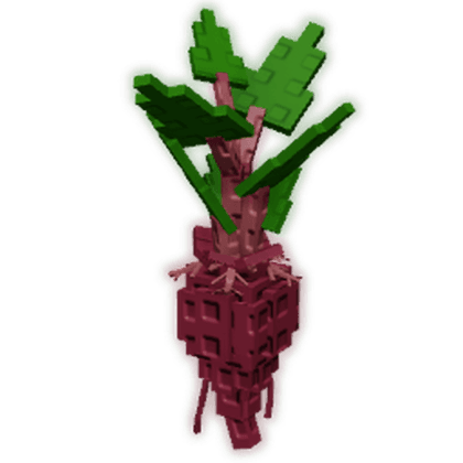 Evo Beetroot IV