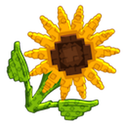Legacy Sunflower
