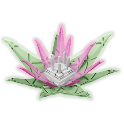 Protea