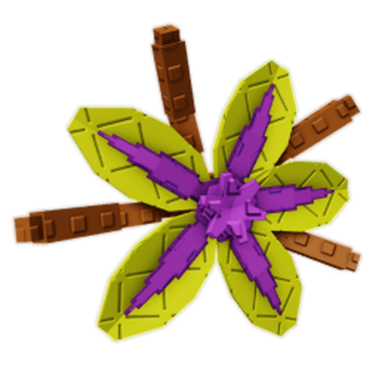 Suncrest Orchid