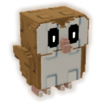 Barn Owl