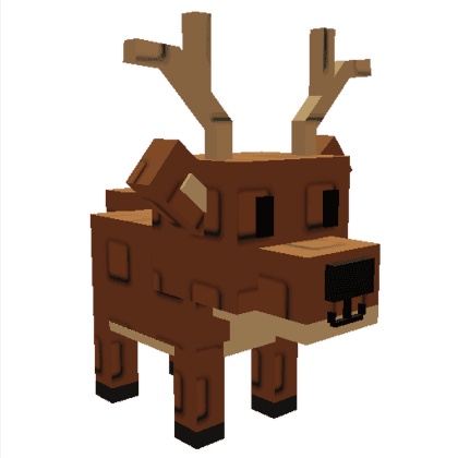 Deer