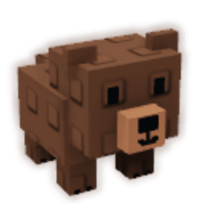 Grizzly Bear