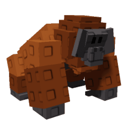 Orangutan
