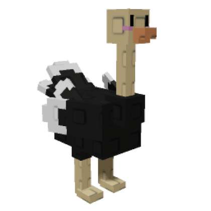 Ostrich