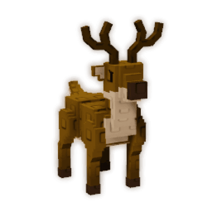 Reindeer
