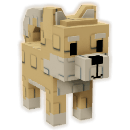 Shiba Inu