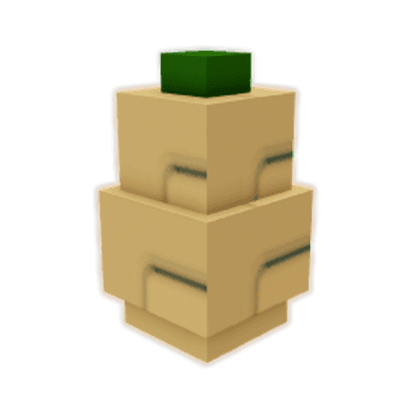 Butternut Squash Seed