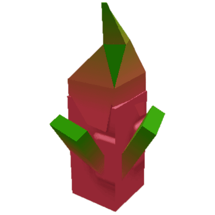 Dragon Fruit Seed