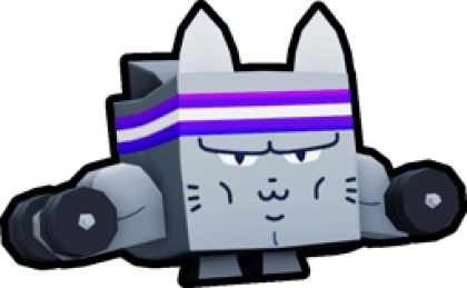 Gym Cat